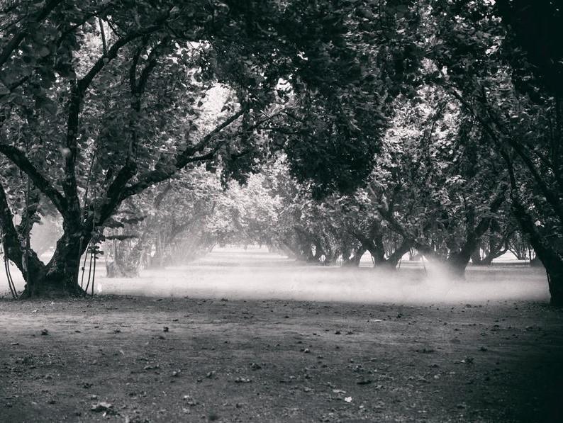 Villa Corylus Avellana Sutri Bagian luar foto